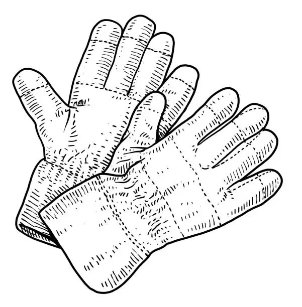 Vector illustration of Gloves illustration, drawing, engraving, ink, line art, vector