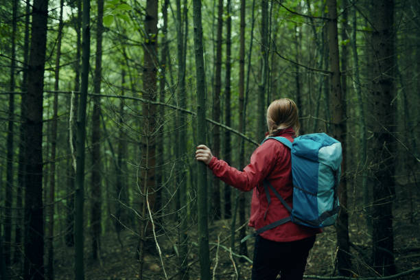 istock hiker woman in her adventure 910839110