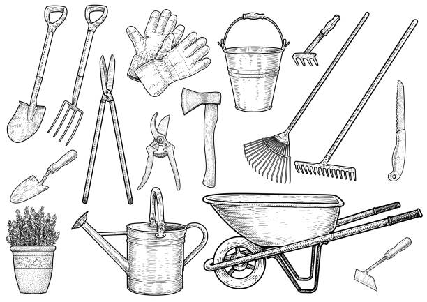 garten-accessoires-illustration, zeichnung, gravur, tinte, strichzeichnungen, vektor - gartengerät stock-grafiken, -clipart, -cartoons und -symbole