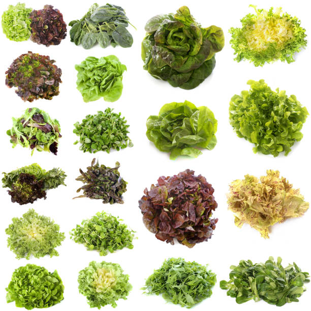 istock varieties of salads 910840632