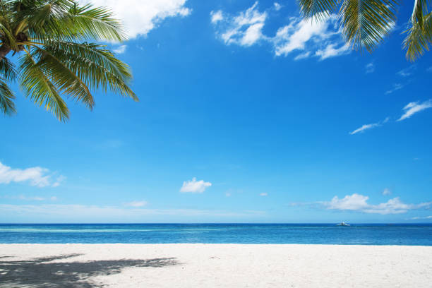 istock Tropical paradise beach landscape 910840768