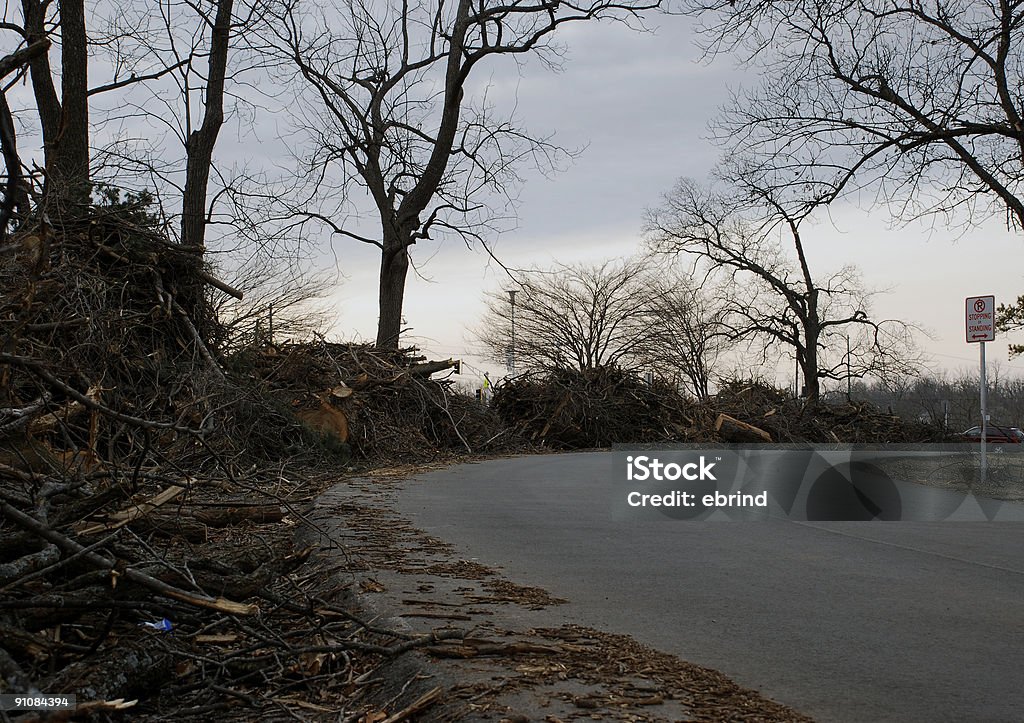 Tormenta de hielo de limpieza - Foto de stock de Calle libre de derechos