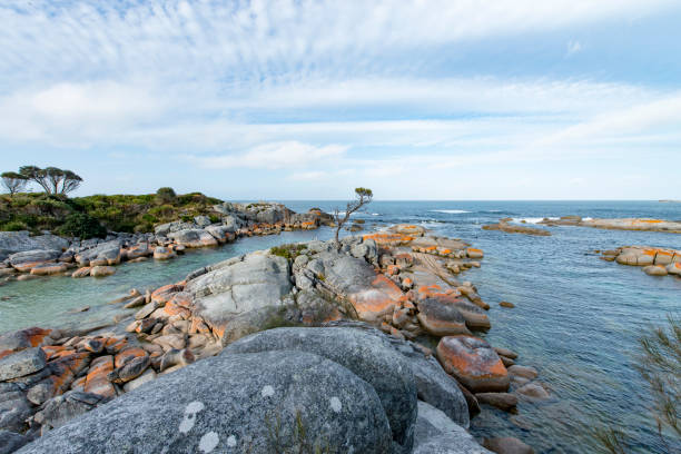 istock Bay of Fires, Tasmania, Australia 910844312