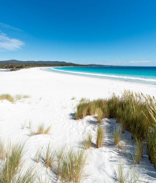 istock Bay of Fires, Tasmania, Australia 910846830