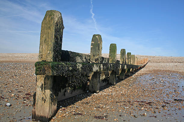 Groyne on the beach stock photo