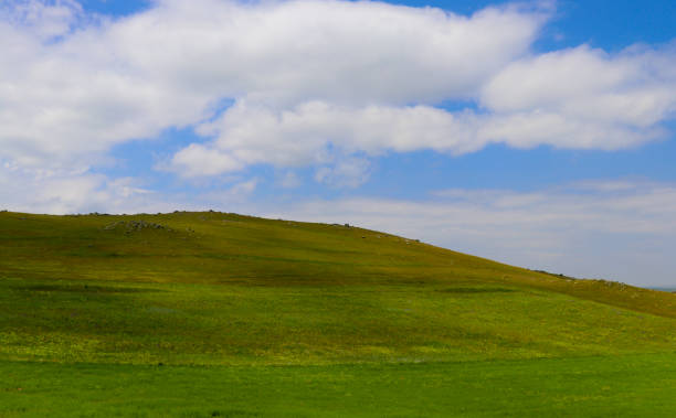 istock Green valley against the sky 910852124