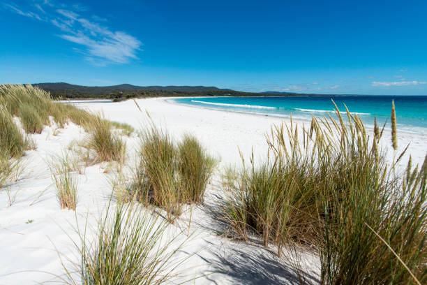 istock Bay of Fires, Tasmania, Australia 910859402