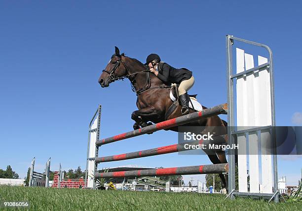 Mostrar De Jumper Foto de stock y más banco de imágenes de Caballo - Familia del caballo - Caballo - Familia del caballo, Carrera de obstáculos, Carrera