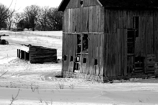 Noir et blanc barn - Photo