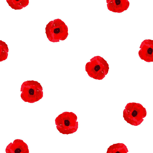 Seamless floral pattern red Poppies flowers on white, tracing, vector, eps 10 Seamless floral pattern red Poppies flowers on white background, tracing, vector, eps 10 red poppy stock illustrations