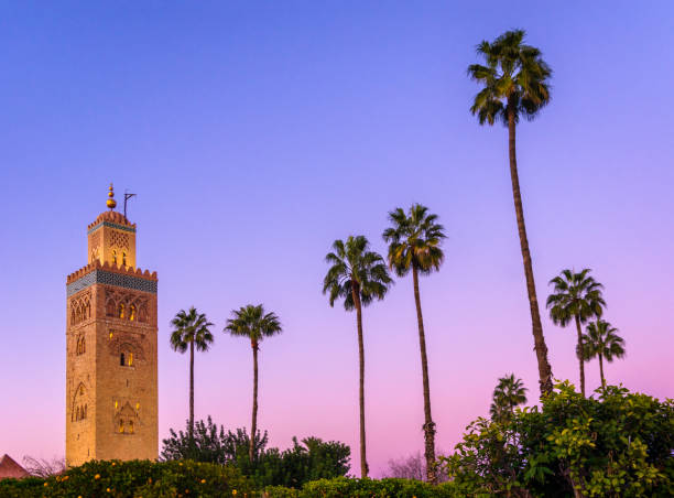 koutoubia minaret mosque marrakech stock photo blue hour palm tree - marrakech imagens e fotografias de stock