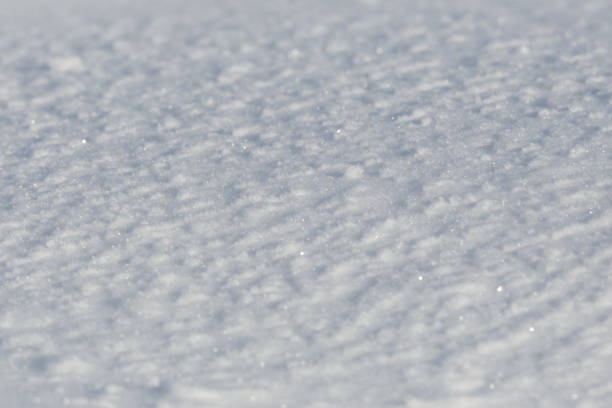 istock detailed view of glittering snow surface 910864180