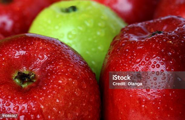 잘 익은 사과나무 0명에 대한 스톡 사진 및 기타 이미지 - 0명, 건강에 좋지 않은 음식, 건강한 생활방식