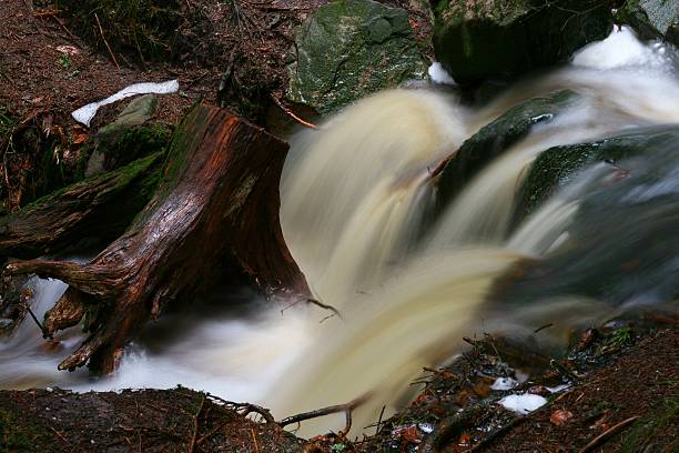 creek - foto de acervo