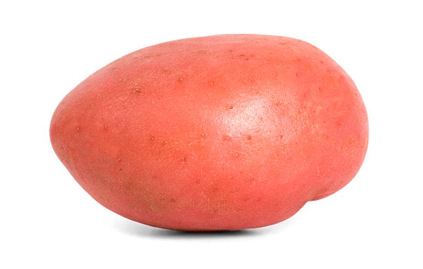 red desiree kartoffel seite - raw potato red potato desiree isolated stock-fotos und bilder