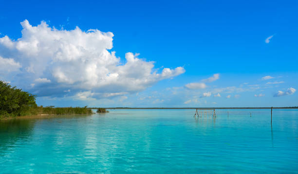 istock Laguna de Bacalar Lagoon in Mayan Mexico 910872468