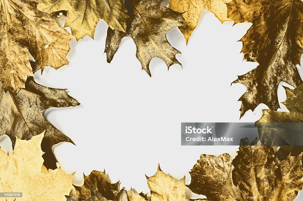 秋の落ち葉フレーム - オレンジ色のロイヤリティフリーストックフォト