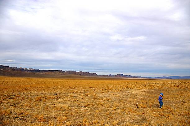 istock Little Girl in Nevada Field 91087943