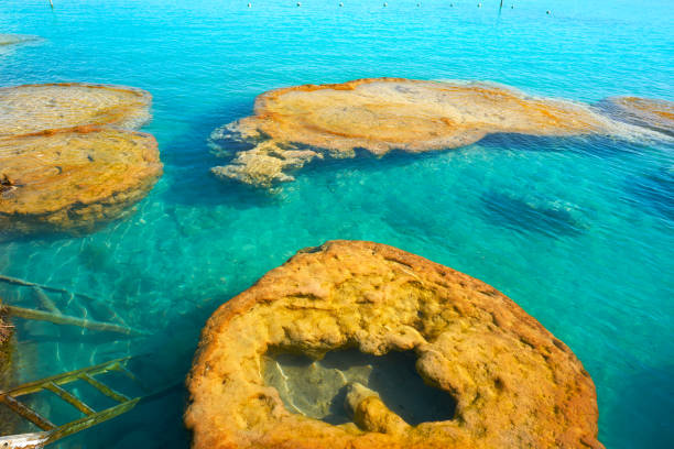 Estromatolitos Stromatolites in Bacalar Lagoon of Mexico in Quintana Roo