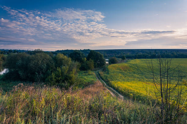 istock Fields, forests and roads in autumn 910879738