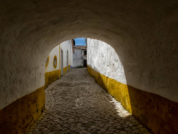 istock Obidos, historical Center. Portugal. 910880006