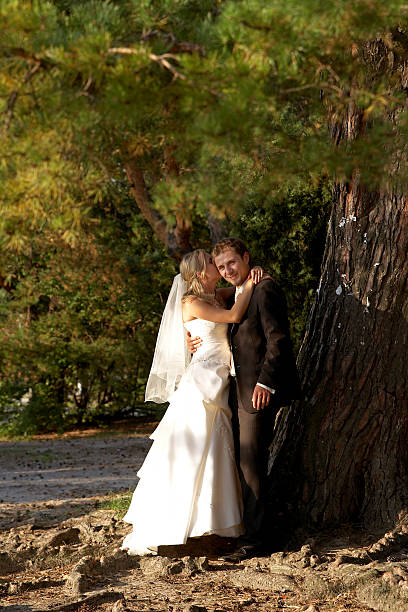 dopo il matrimonio - tree harmony couple trust foto e immagini stock