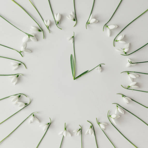 istock Creative layout made with snowdrop flowers on bright background. Flat lay. Spring minimal concept. 910891988