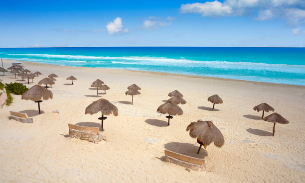 istock Cancun Mexico Delfines Caribbean beach 910896154