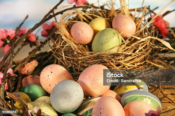 Easter Eggs And Apple Blossoms Stock Photo - Download Image Now - Agricultural Field, Animal Shell, Close-up