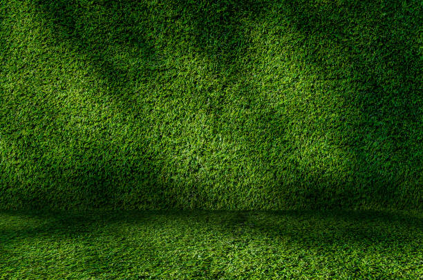 istock Perspective Grass Green wall and floor interior 910898412