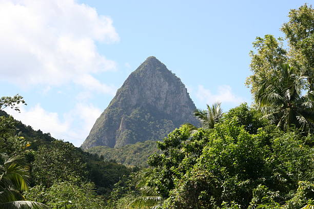 istock Mountain in Puerto Rico 91090015