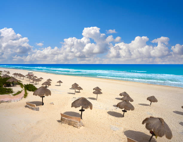 istock Cancun Mexico Delfines Caribbean beach 910900412