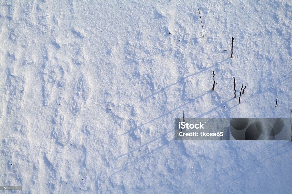 Snow ripples  Abstract Stock Photo