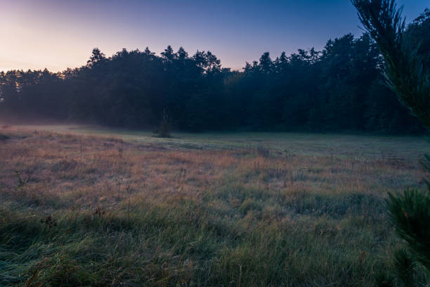 istock Fields, forests and roads in autumn 910917004