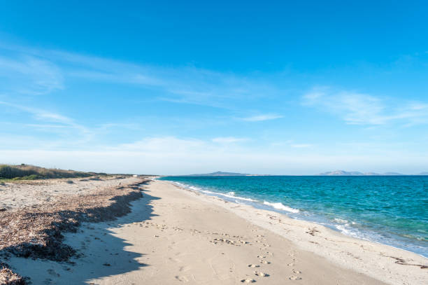 istock Landscape of sardinian beach in summer 910919286
