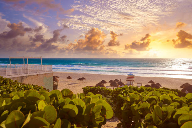 istock Cancun Delfines Beach Hotel Zone Mexico 910919594