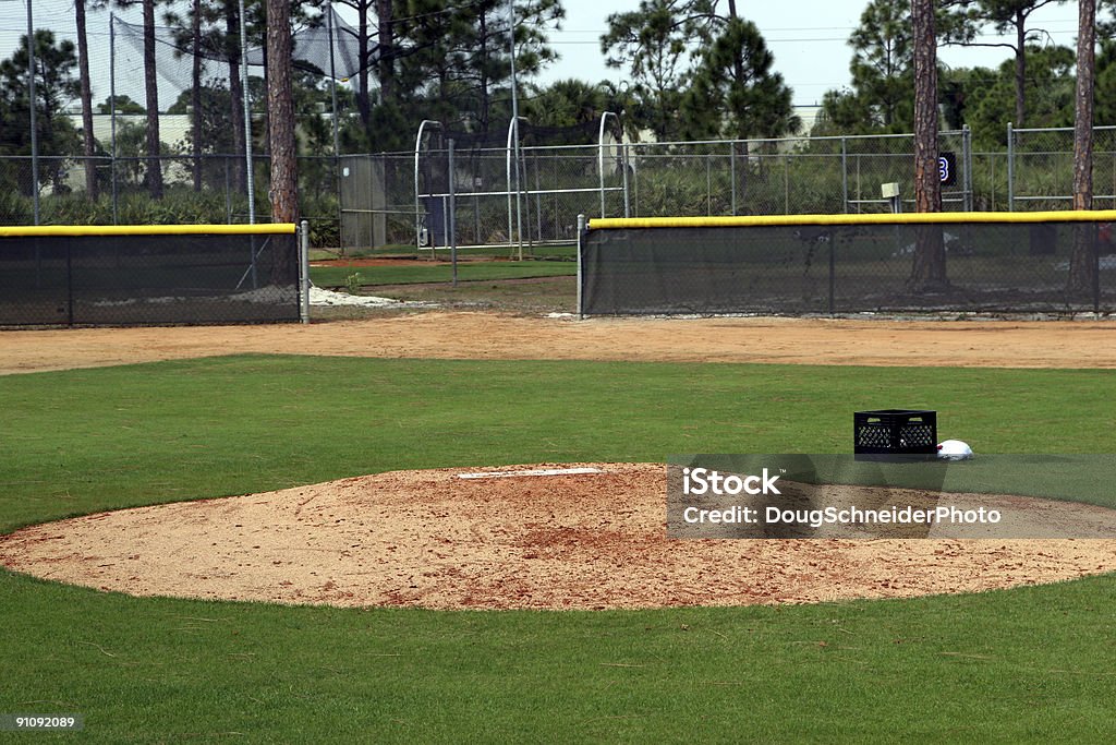 Spring Training - Foto stock royalty-free di Albero