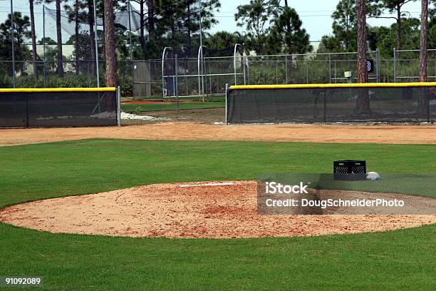 Wiosna Szkolenia - zdjęcia stockowe i więcej obrazów Baseball - Baseball, Bez ludzi, Drzewo