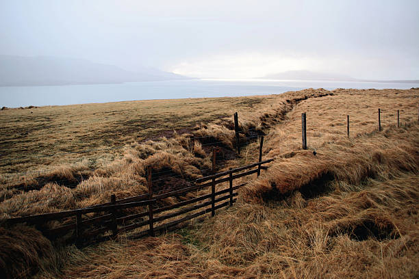 principios paisaje de invierno en islandia - overclouded fotografías e imágenes de stock