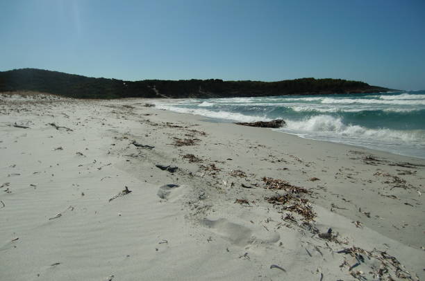 istock Beach with white sand in Corsica 910925682