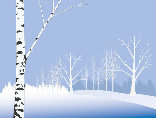 겨울 날-일러스트 레이 션 - park snow tree back lit stock illustrations