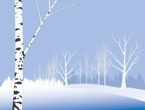 зимний день - иллюстрация - bark tree autumn tree trunk stock illustrations