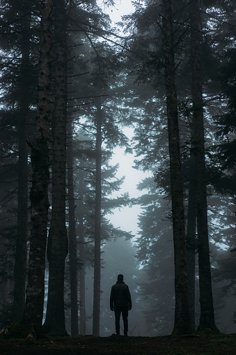 Footpath in dark and misty autumn forest