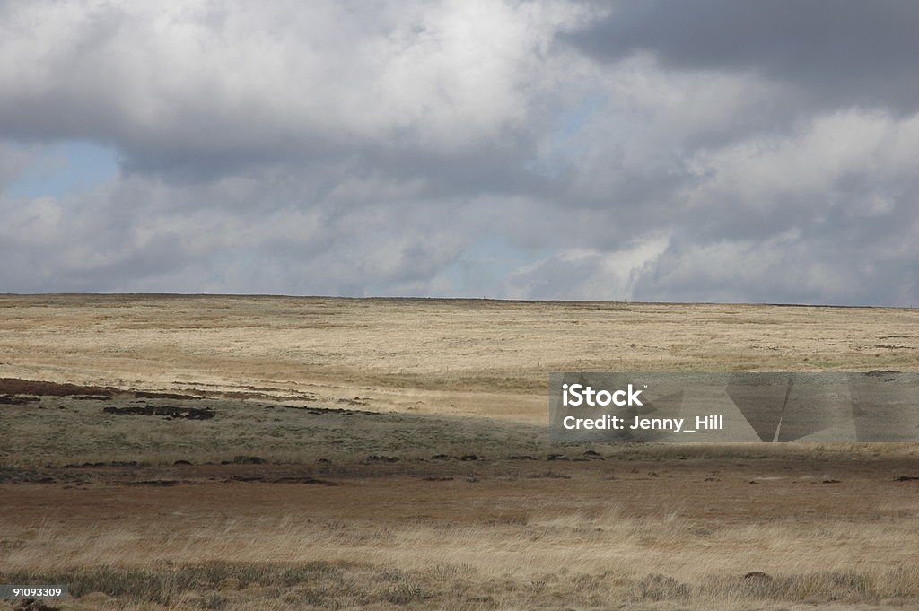 La Moorland - Foto de stock de Aislado libre de derechos