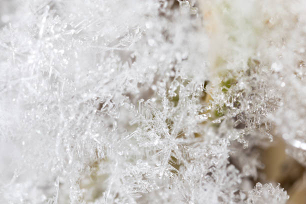 istock Small snowflakes on nature as background 910933274