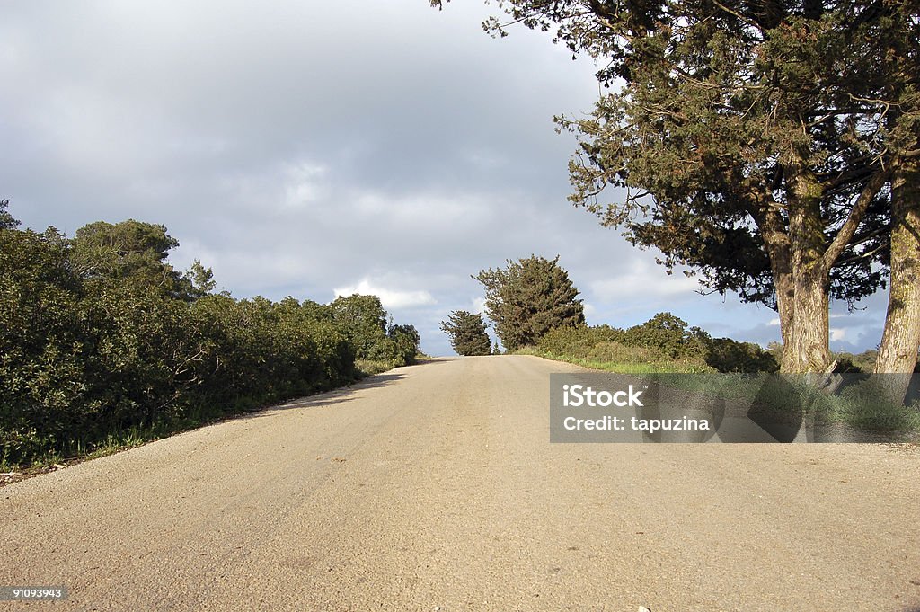 Driveway  Asphalt Stock Photo
