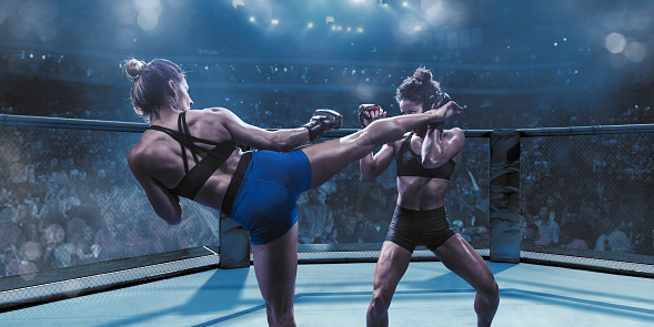 Two professional female mixed martial arts fighters competing in an octagon cage in a floodlit arena. One fighter, with her back to camera, strikes her opponent with a roundhouse kick. Her opponent blocks the blow with her hands Both fighters are wearing shorts/bra tops and protective gloves.
