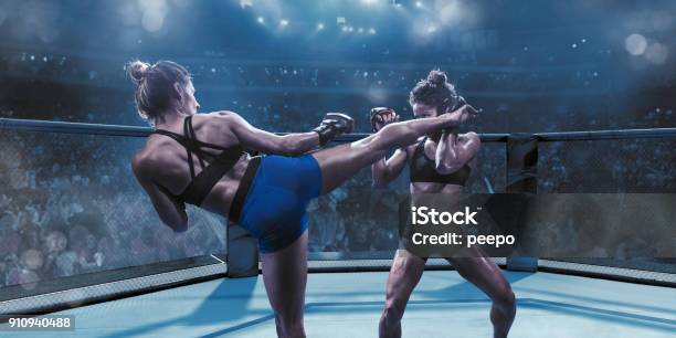 Professional Female Mixed Martial Arts Fighters Fighting In Octagon Stock Photo - Download Image Now