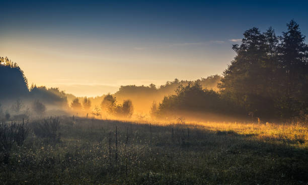 istock Fields, forests and roads in autumn 910944588