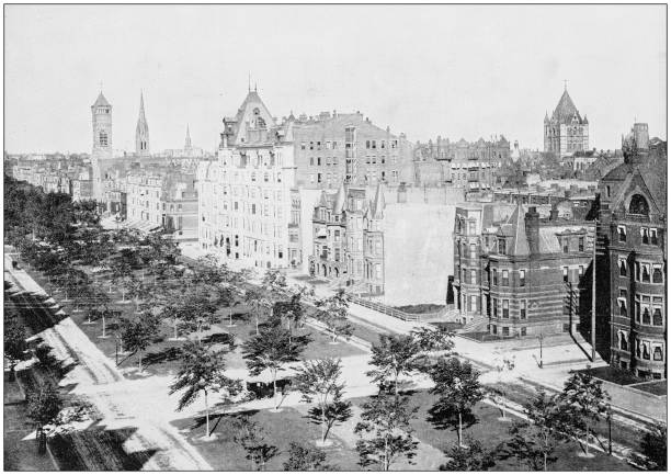 antikes foto des weltweit berühmten sehenswürdigkeiten: commonwealth avenue, boston - 1900s image stock-grafiken, -clipart, -cartoons und -symbole